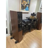 Audio Physic Cardeas...