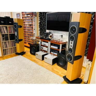 Dynaudio C4...
