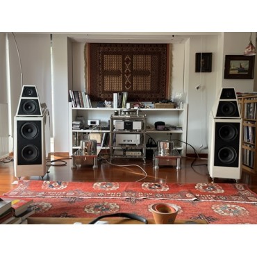 Wilson Audio Sasha D...